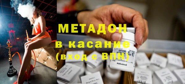 хмурый Аркадак