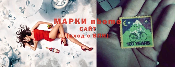 хмурый Аркадак