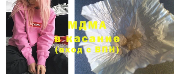 хмурый Аркадак