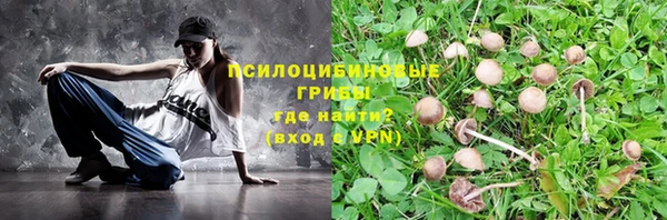 ГАЛЛЮЦИНОГЕННЫЕ ГРИБЫ Алзамай