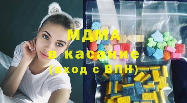 хмурый Аркадак