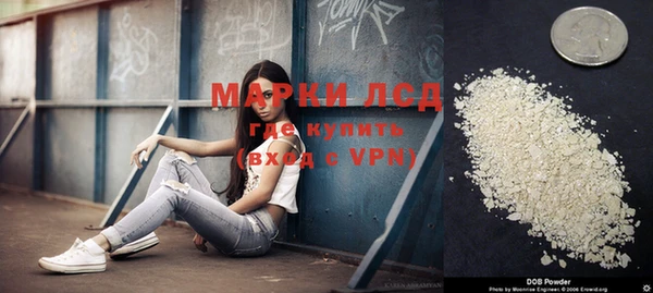 хмурый Аркадак
