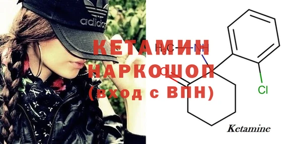 хмурый Аркадак